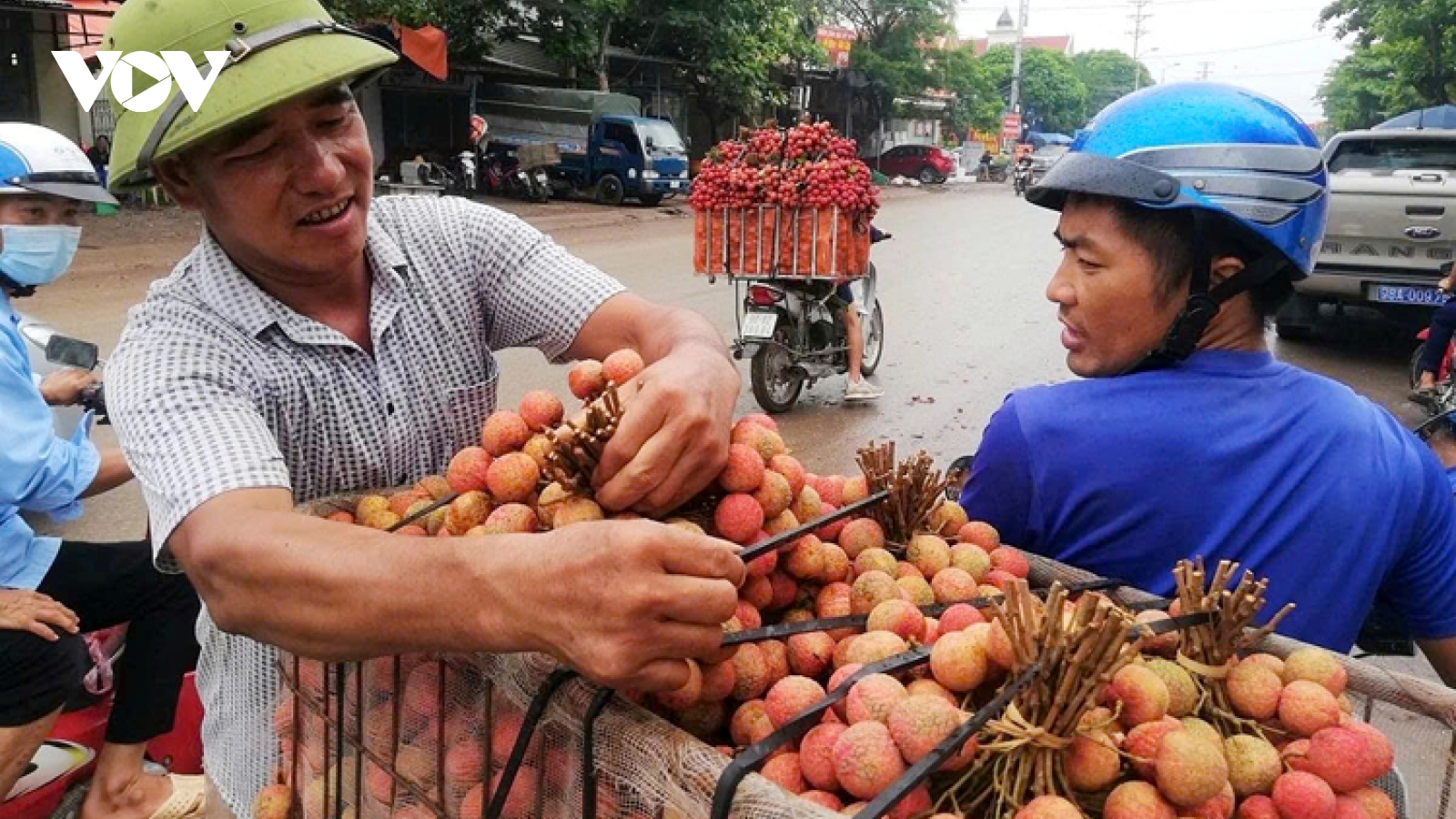 Unlocking consumer markets for agricultural exports during peak season